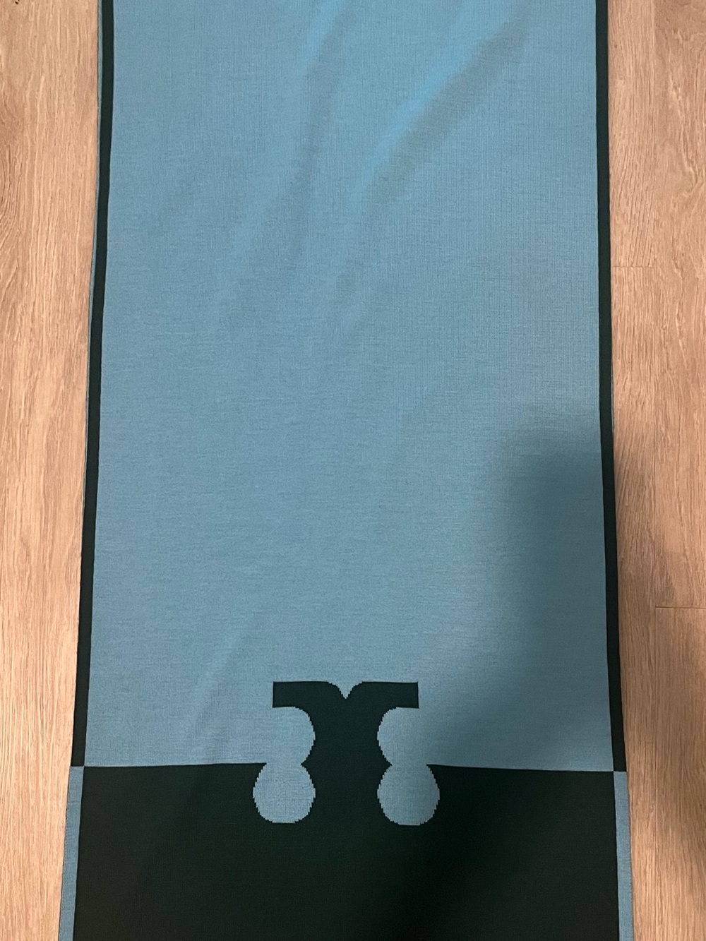 Tory Burch Reversible Colorblock Merino Wool Logo Scarf Wrap Green Blue